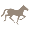 reitsportprodukte.com favicon