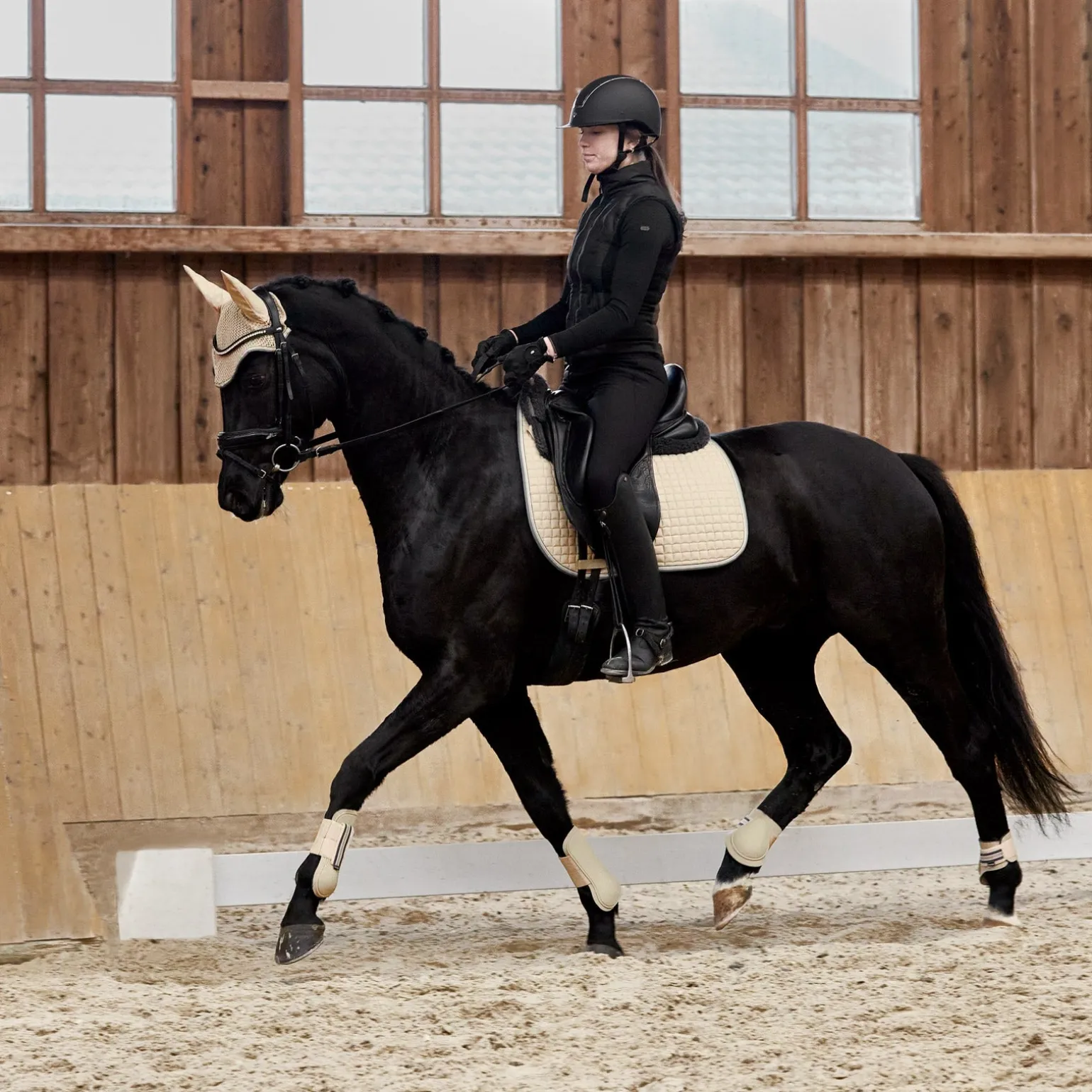 Adepto Dressurschabracke