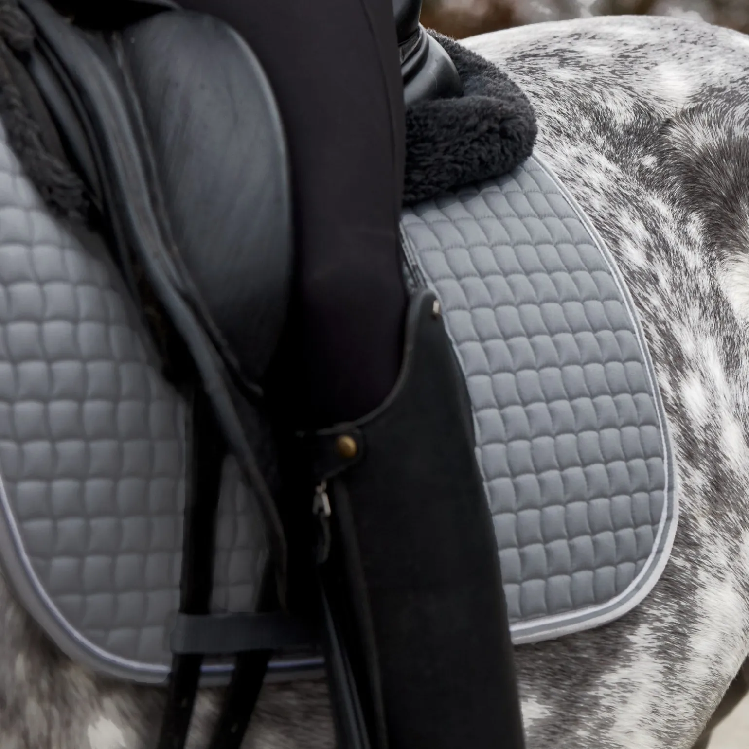 Adepto Vielseitigkeitsschabracke