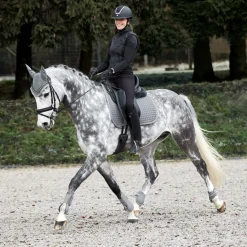 Adepto Vielseitigkeitsschabracke