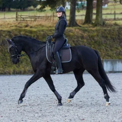 Adepto Vielseitigkeitsschabracke