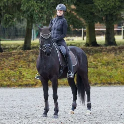 Adepto Vielseitigkeitsschabracke