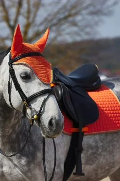 Adepto Vielseitigkeitsschabracke