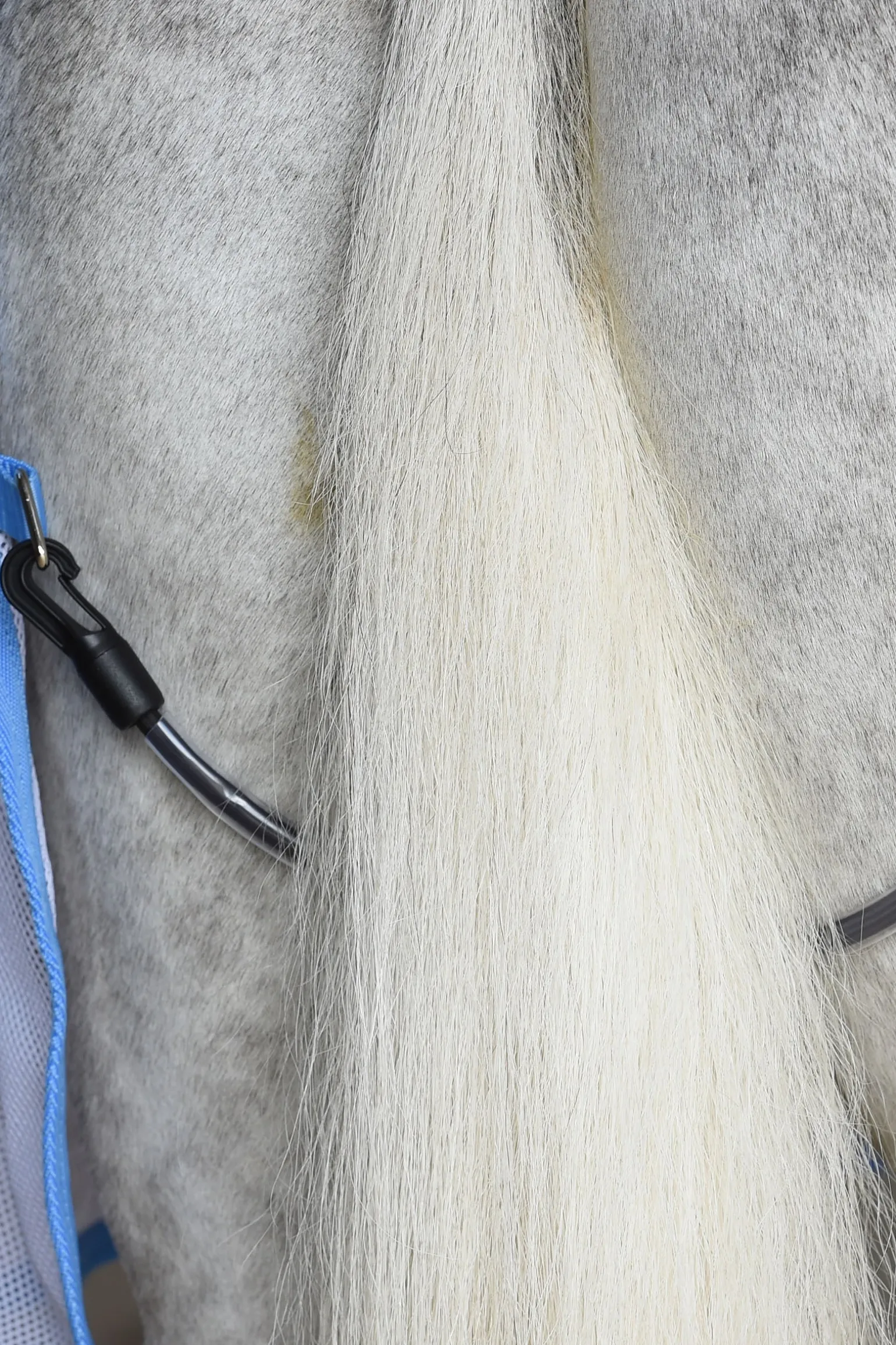 Air-Tec Abschwitzdecke, Standard Halsausschnitt