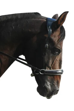 Alizée Mistral Gebissloser Zaum mit Zügeln (System 3)