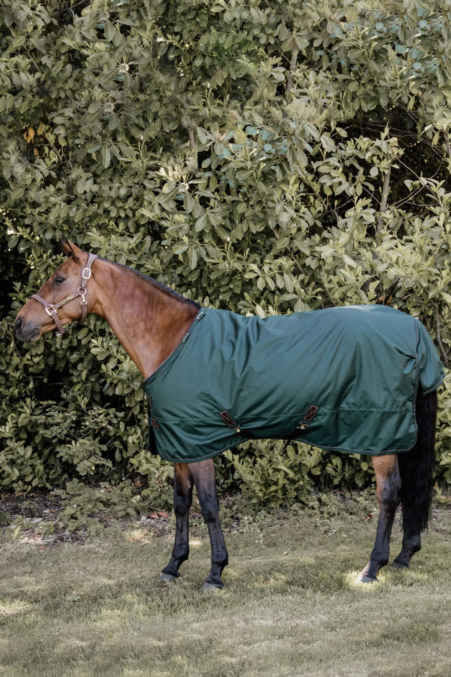 All Weather Weidedecke, 160g