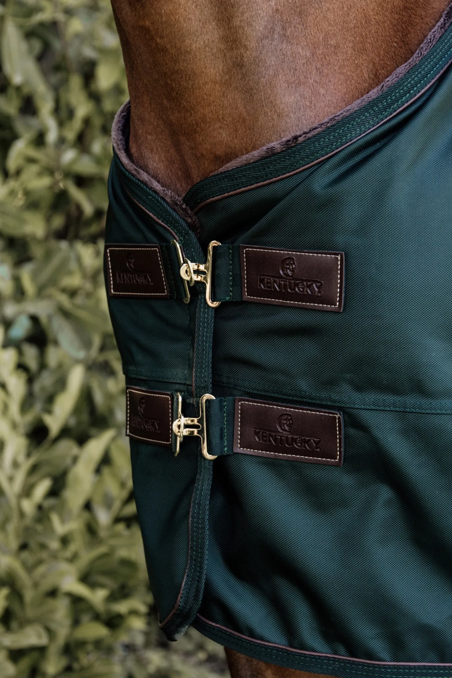 All Weather Weidedecke, 160g