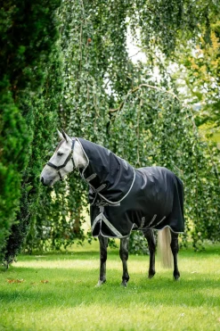 Amigo Bravo 12 Plus 100g