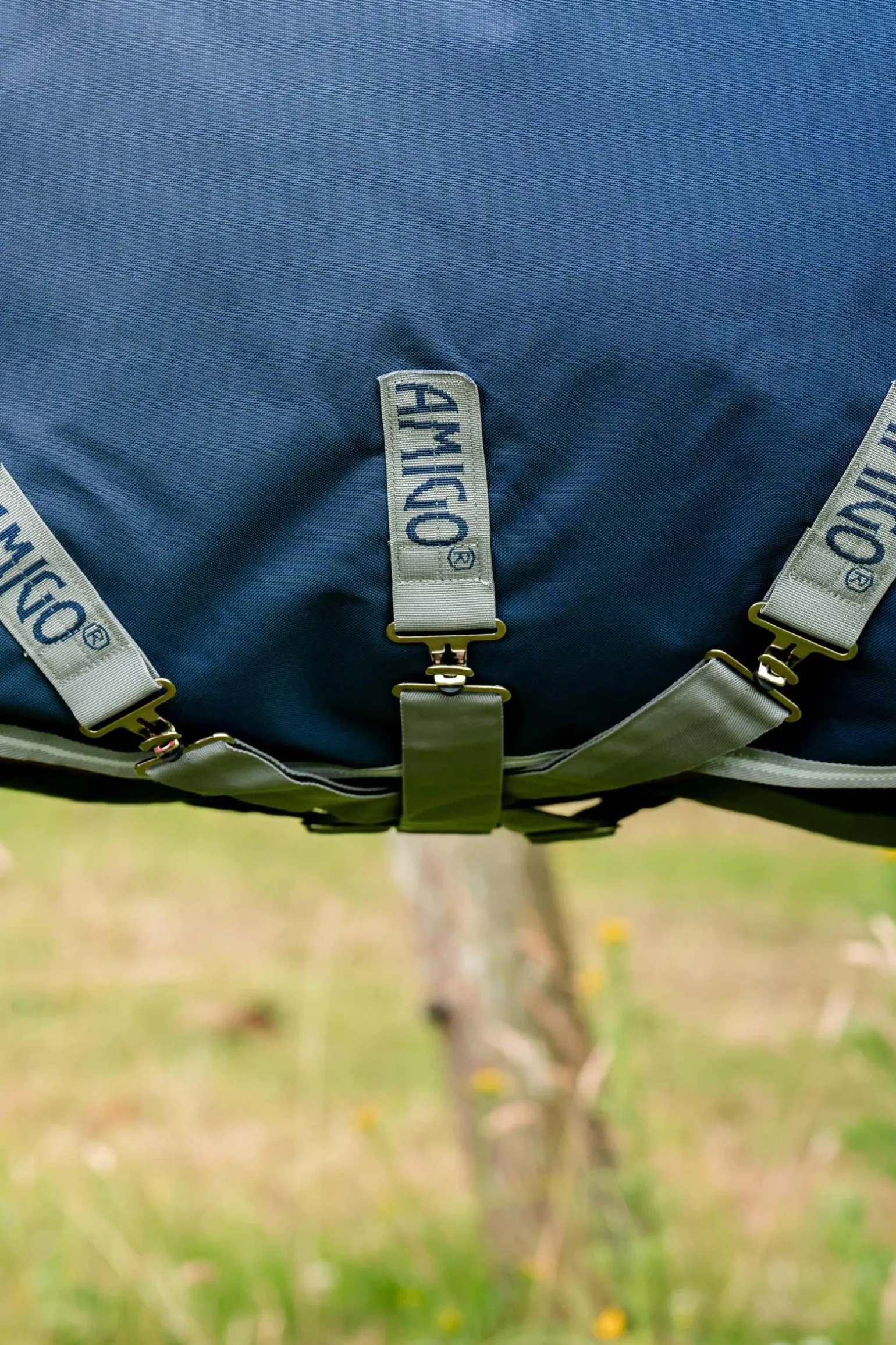 Amigo Bravo 12 Plus 100g