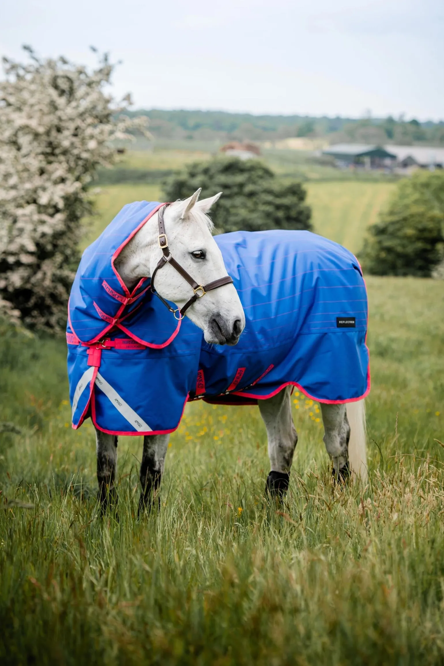 Amigo Bravo 12 Reflectech Plus Weidedecke mit abnehmbarem Halsteil, 250g