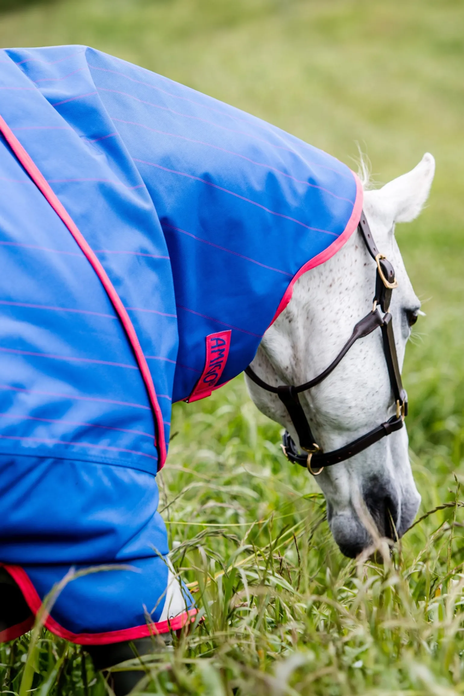 Amigo Bravo 12 Reflectech Plus Weidedecke mit abnehmbarem Halsteil, 250g