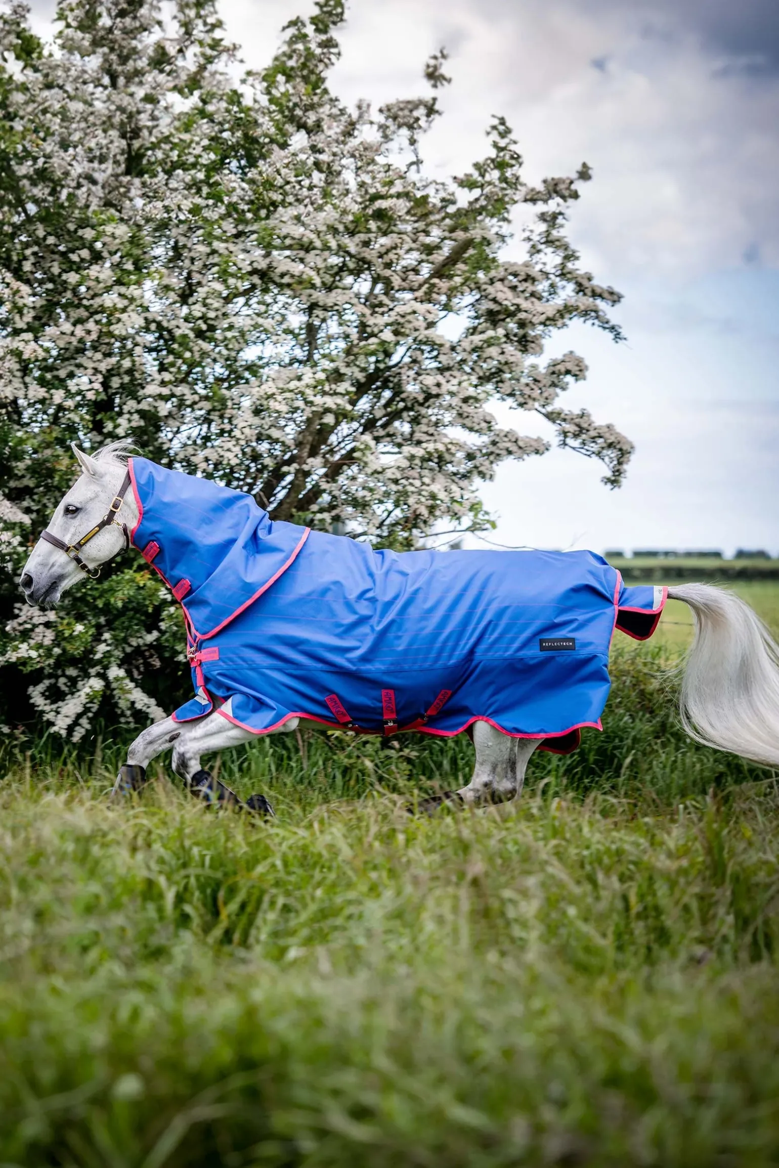 Amigo Bravo 12 Reflectech Plus Weidedecke mit abnehmbarem Halsteil, 250g