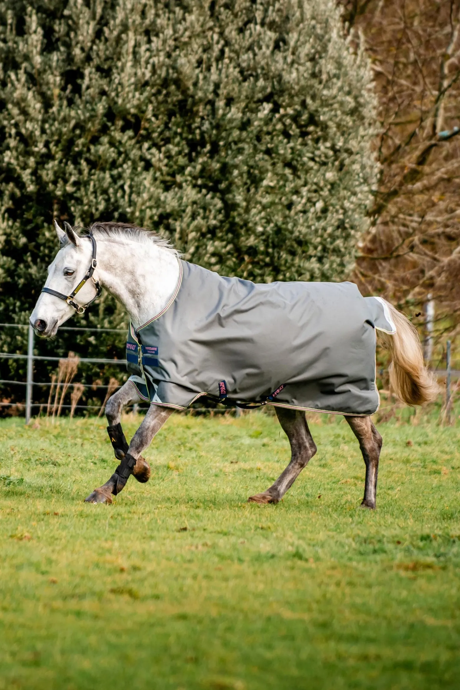 Amigo Bravo 12 Weidedecke, 0 g