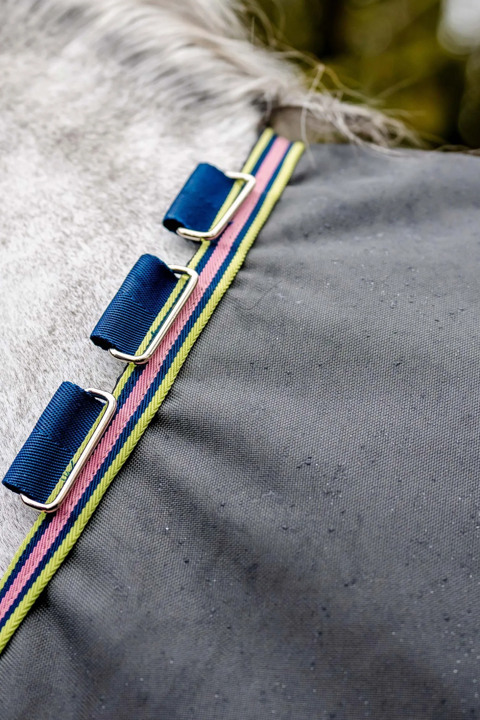 Amigo Bravo 12 Weidedecke, 0 g