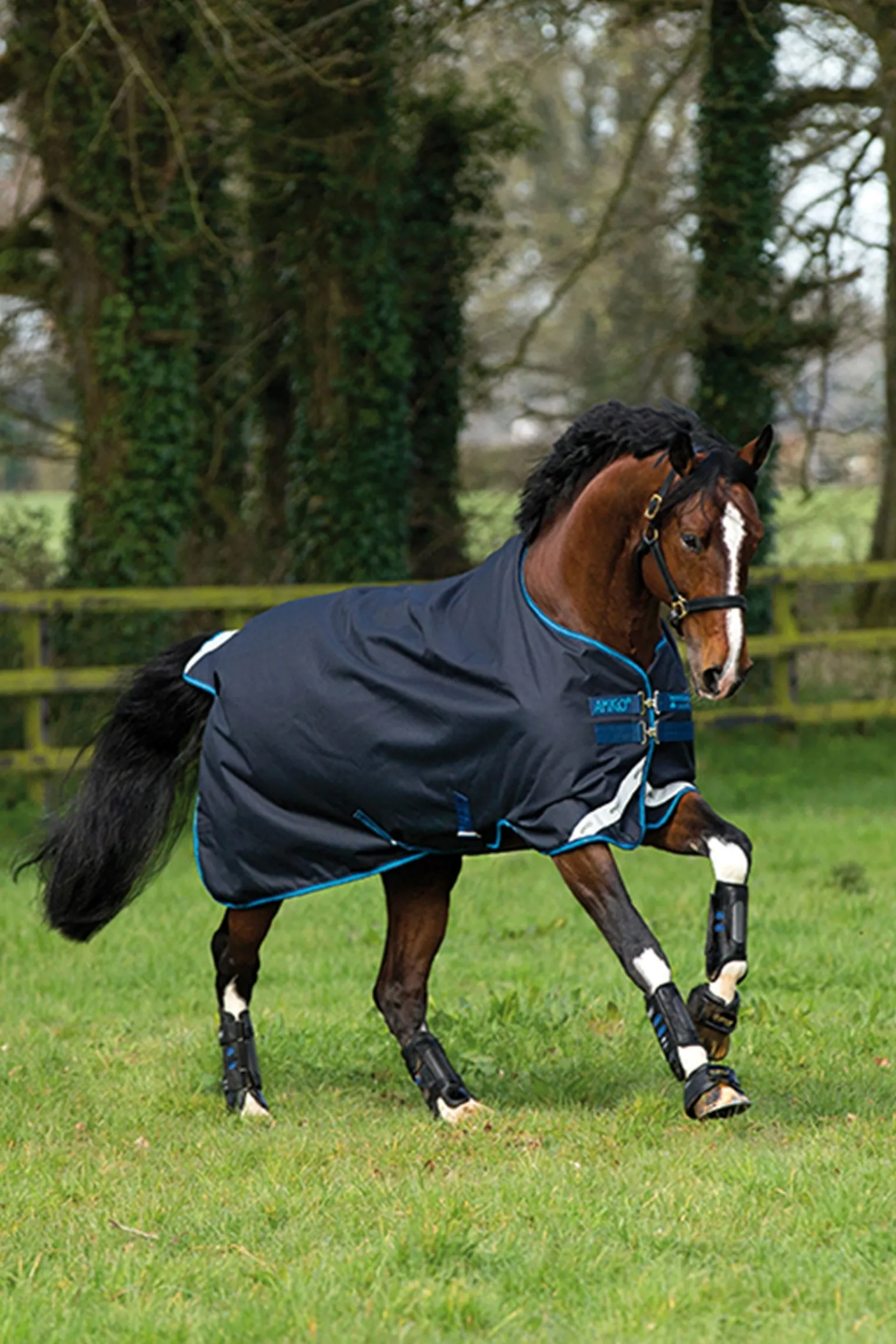 Amigo Bravo 12 Weidedecke, 100g