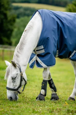 Amigo Bravo 12 Weidedecke, 100g