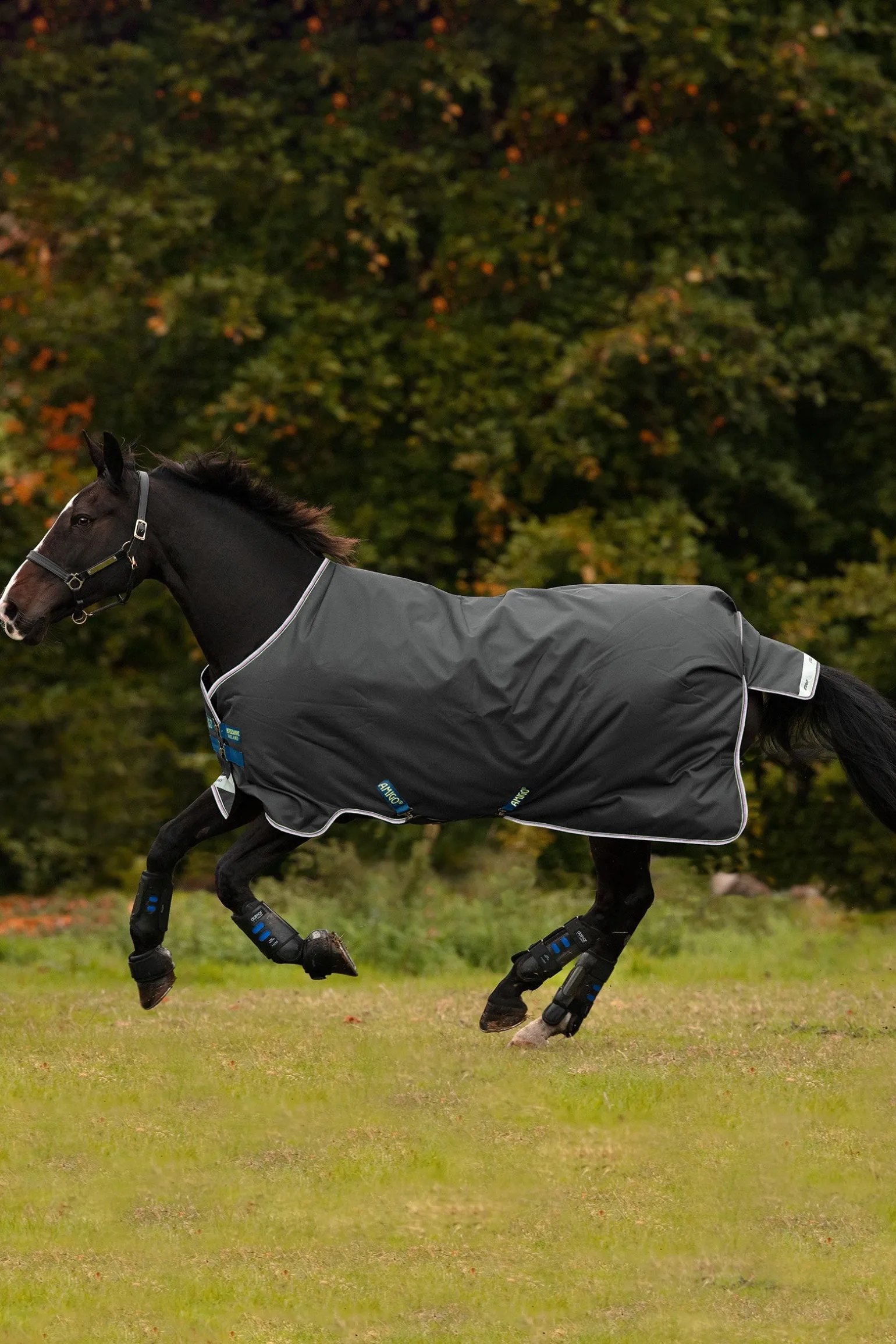 Amigo Bravo 12 Weidedecke, 100g