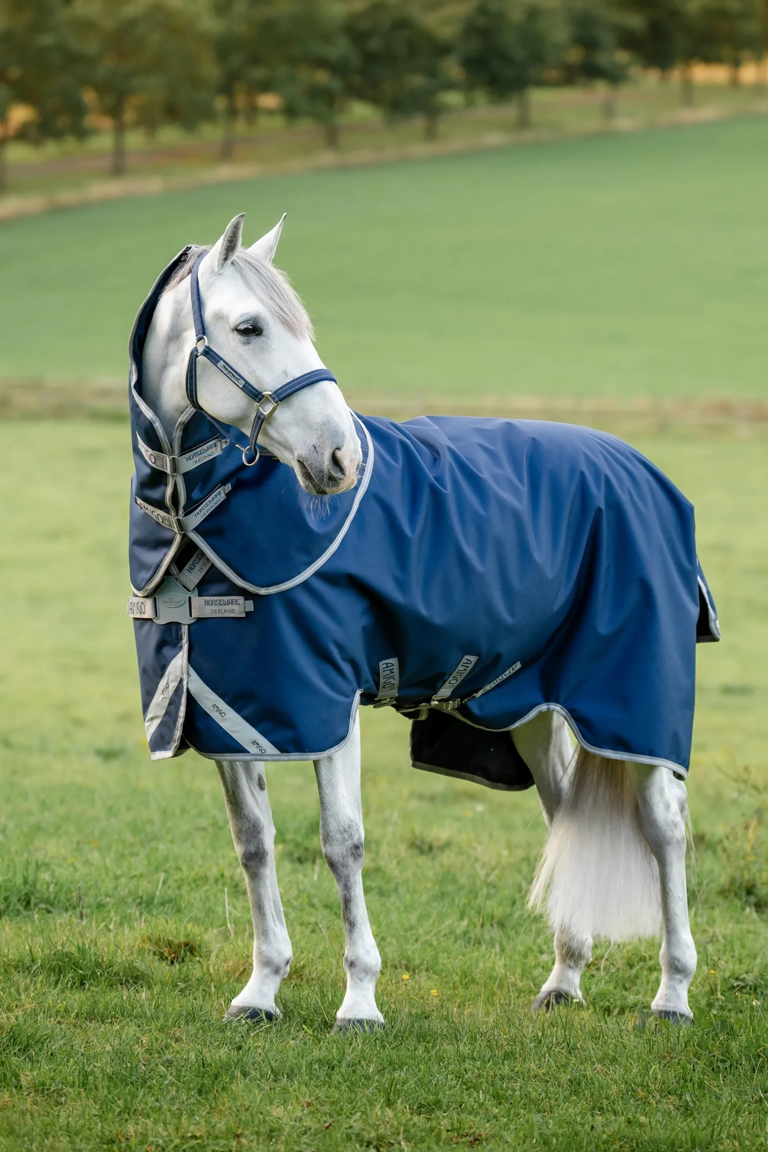 Amigo 1200D FieldSafe Plus Turnout Rug, 250 g