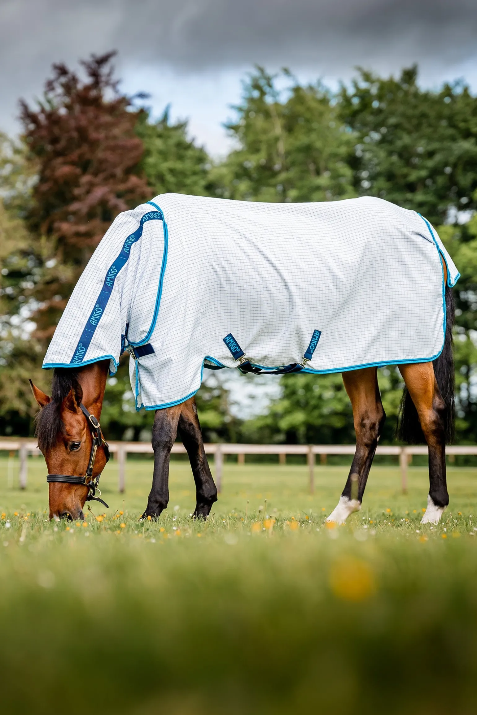 Amigo Fliegendecke Plus