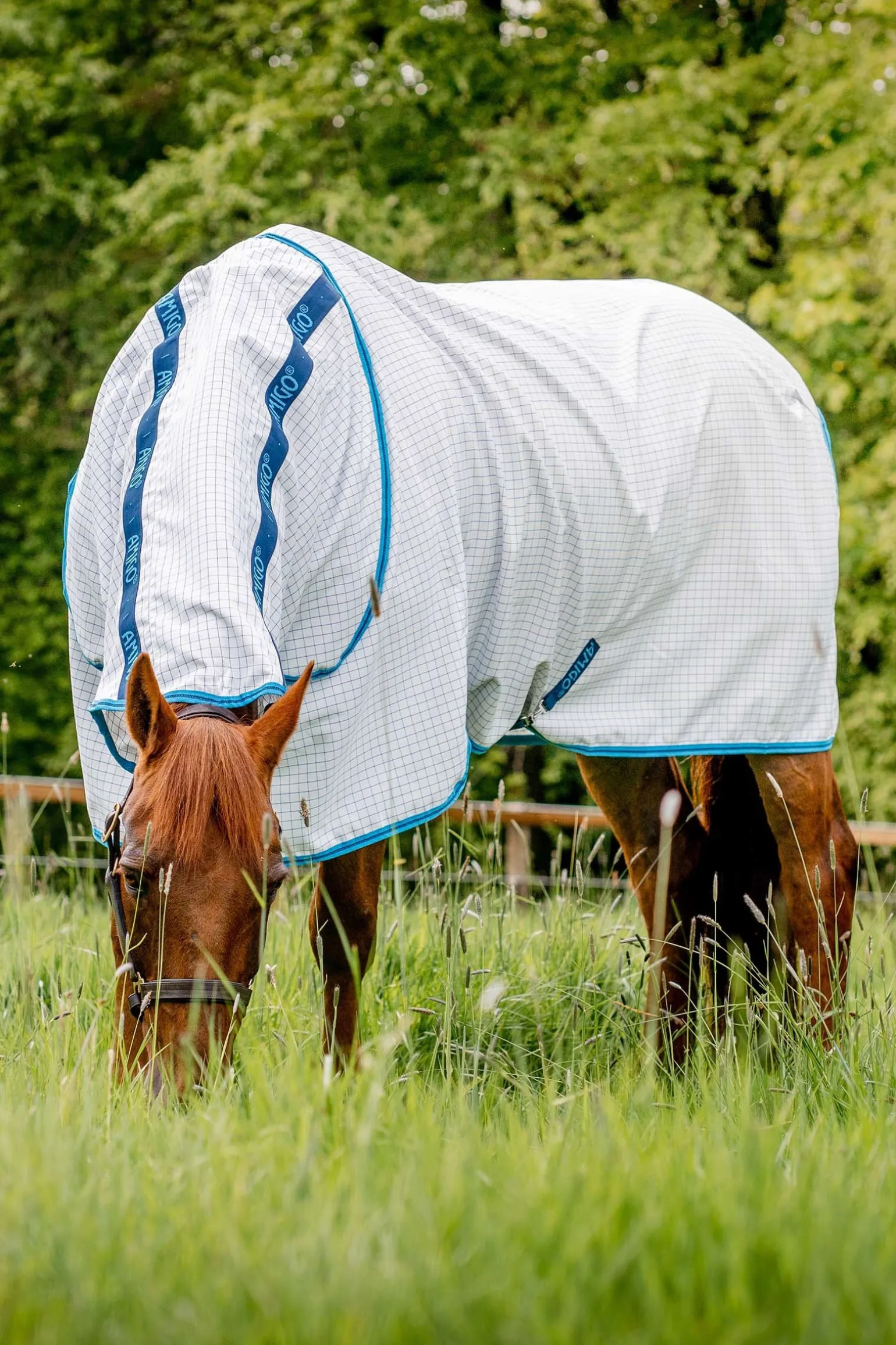 Amigo Fliegendecke Plus