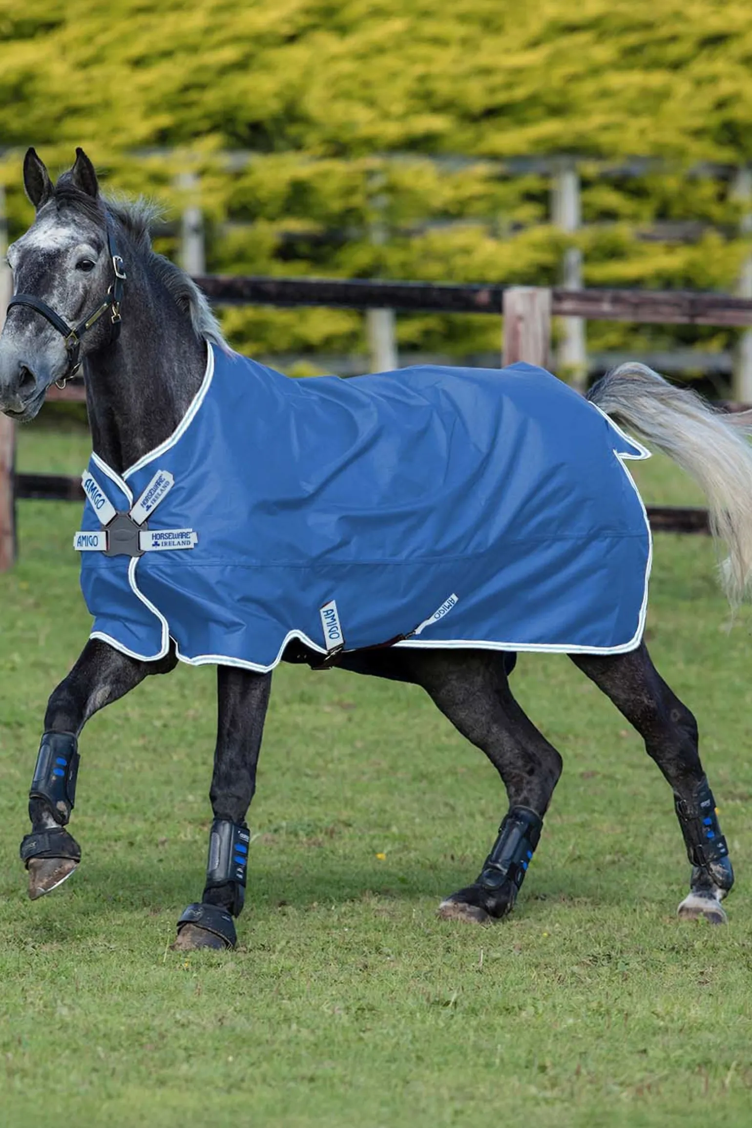 Amigo Hero 900 Disc Regendecke, 50g