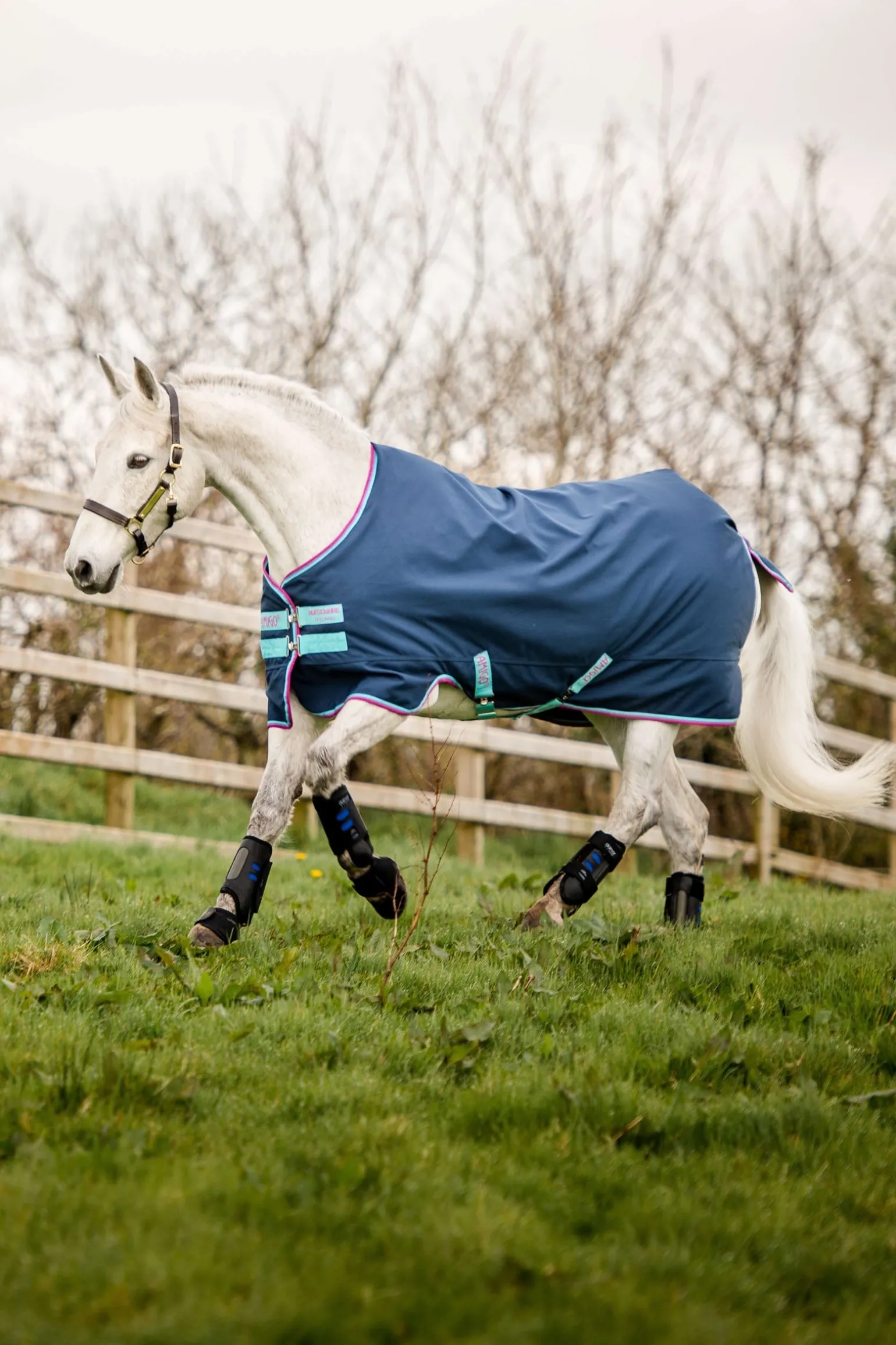 Amigo Hero 900 Pony Weidedecke, 0g