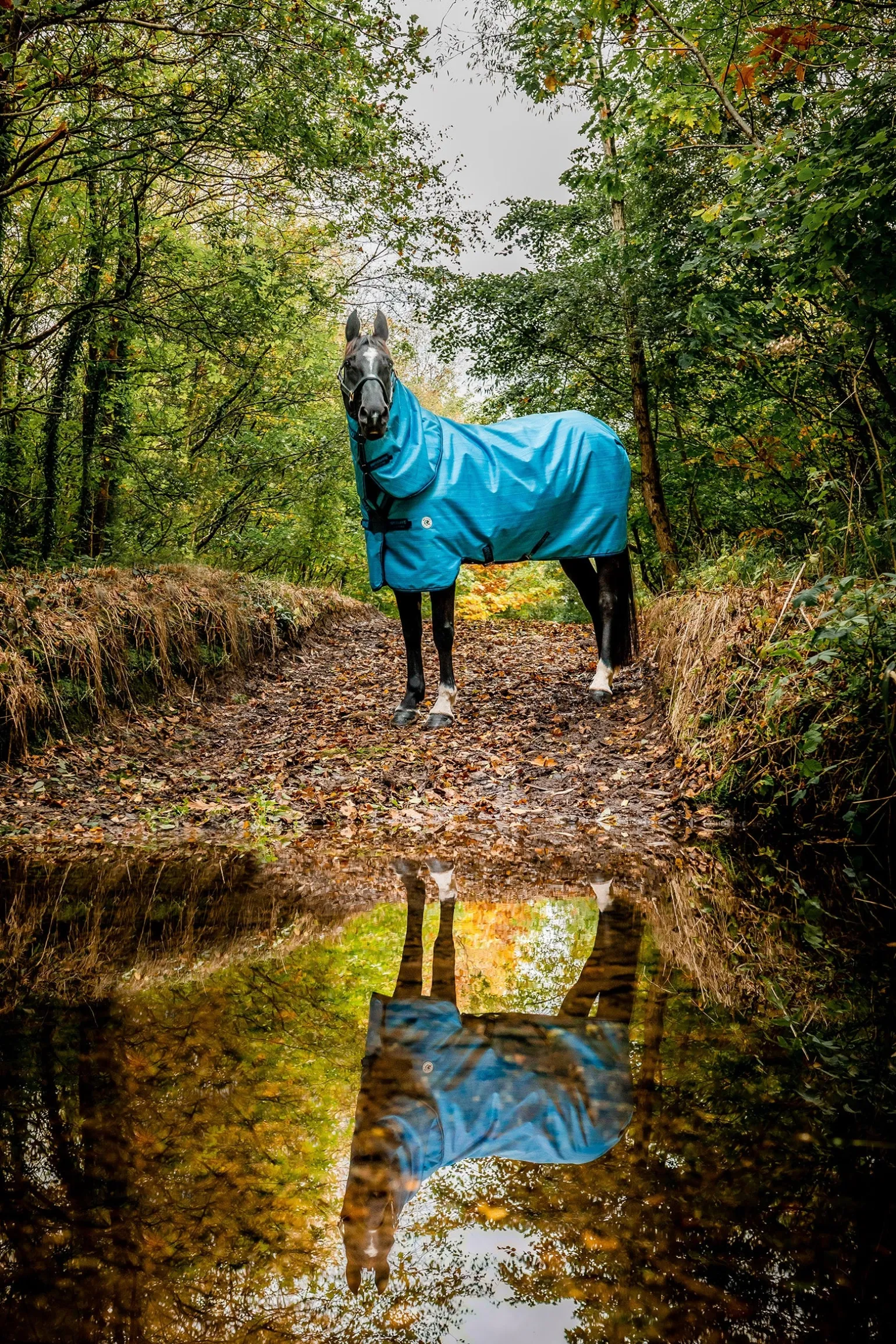 Amigo Hero 900 Revive Plus Outdoordecke mit abnehmbarem Halsteil, 50 g