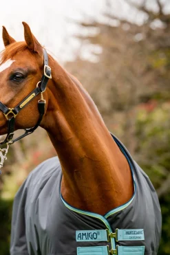 Amigo Hero Ripstop Plus Weidedecke mit abnehmbarem Hals, 200g