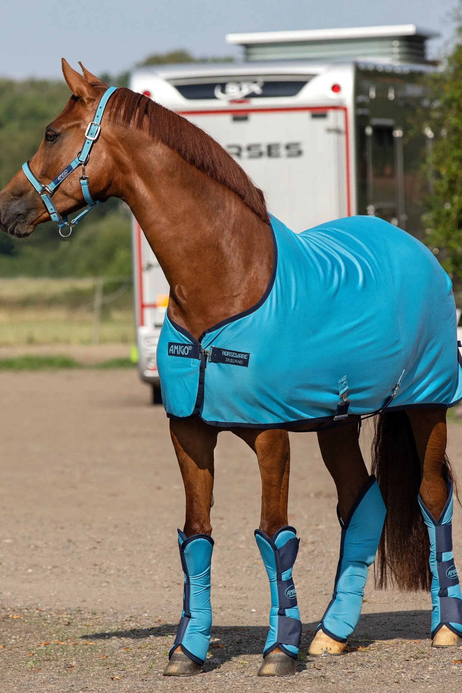 Amigo Jersey Cooler Abschwitzdecke