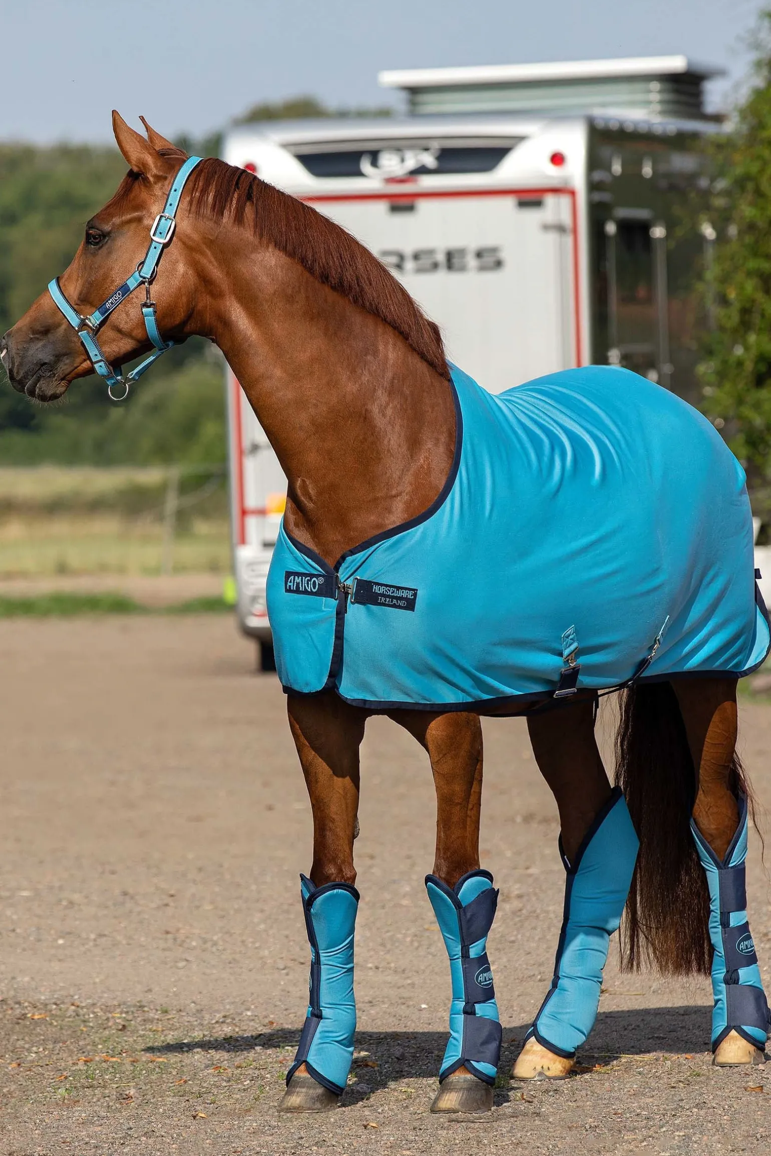 Amigo Jersey Cooler Abschwitzdecke