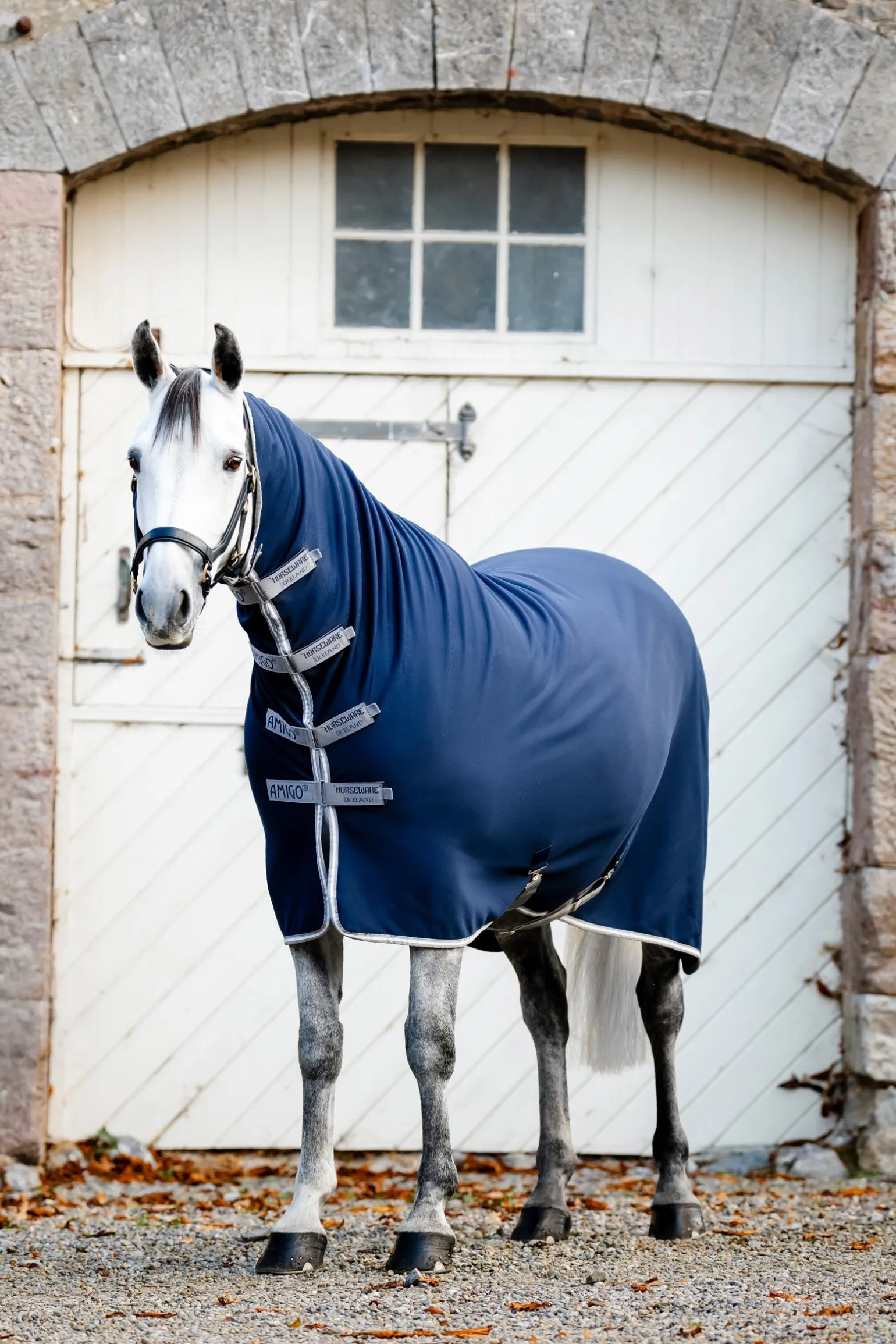 Amigo Jersey Integrated Cooler Rug