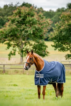 Amigo Outdoordecke Ripstop 900D, 200 g