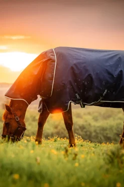 Amigo Ripstop 900D Plus Weidedecke mit abnehmbarem Halsteil, 100 g