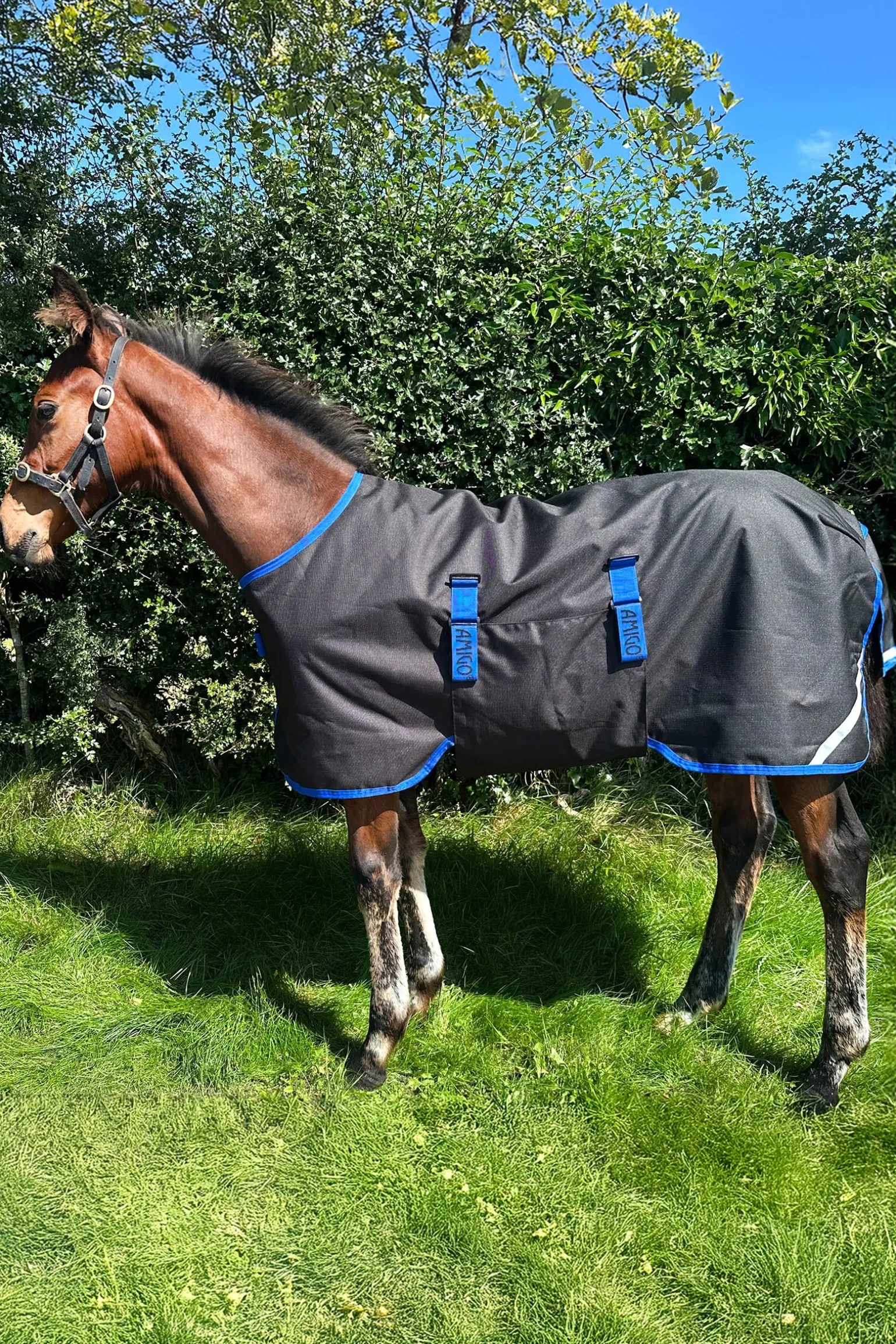 Amigo Ripstop 900D Weidedecke für Fohlen 200g