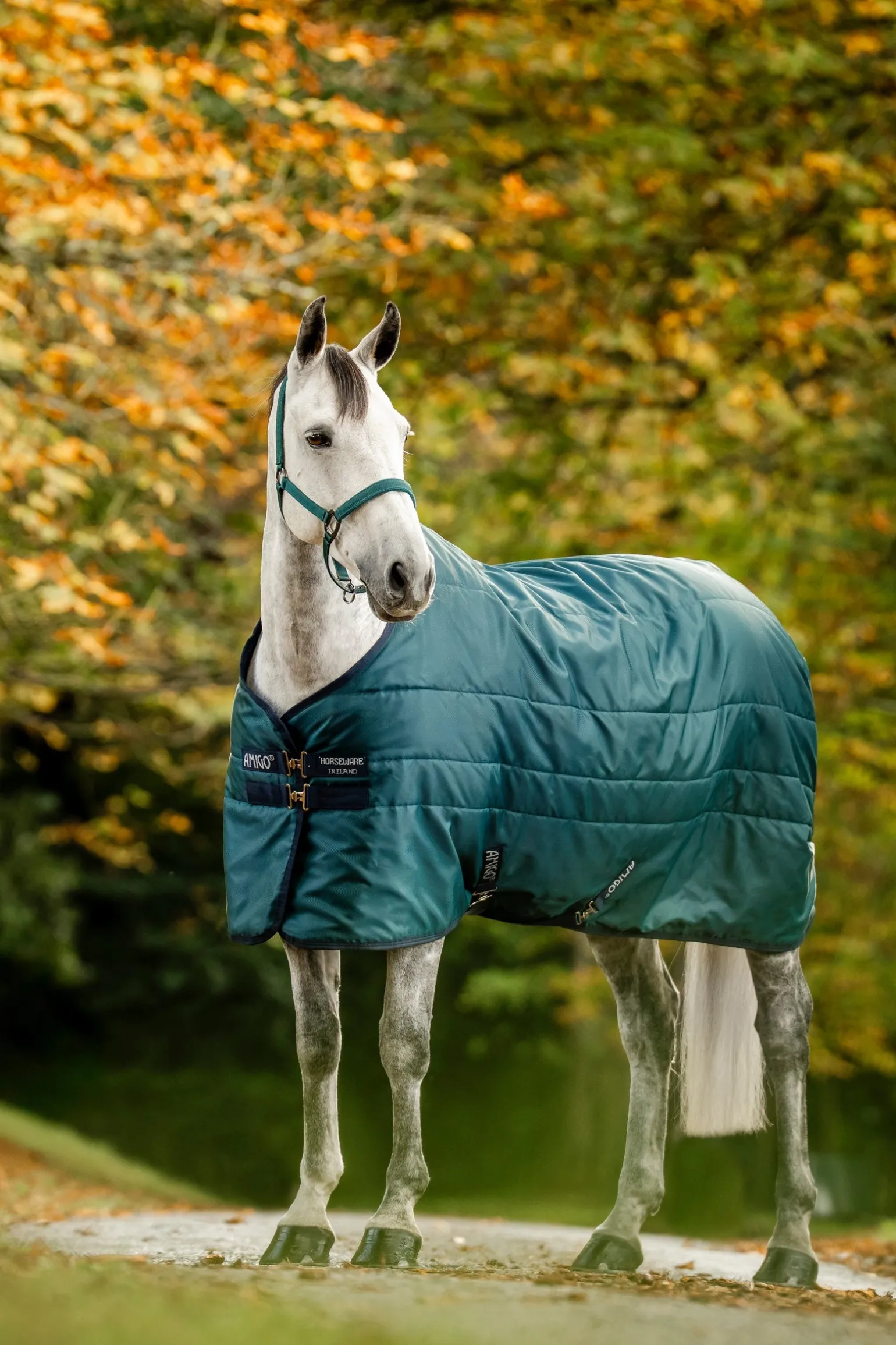 Amigo Ripstop Stalldecke mit Füllung, 350 g