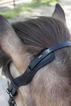 Anatomische Island Trense