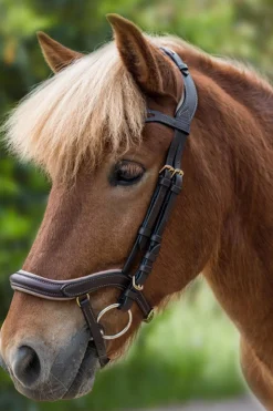 Anatomische Island Trense