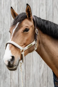 Anatomisches Nylon Halfter