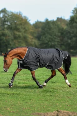 Anniversary SF leichte Regendecke, 50g