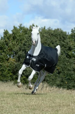 Anniversary SF leichte Regendecke, 50g