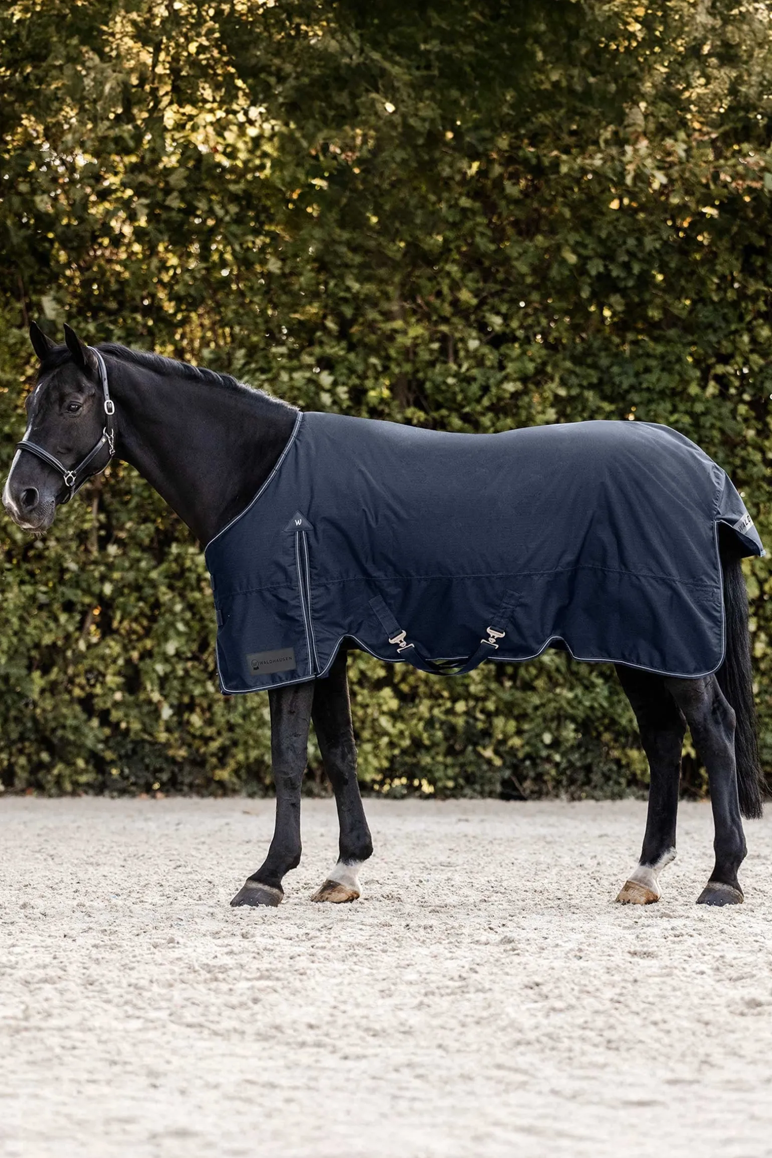 Arctic Weidedecke, 50g