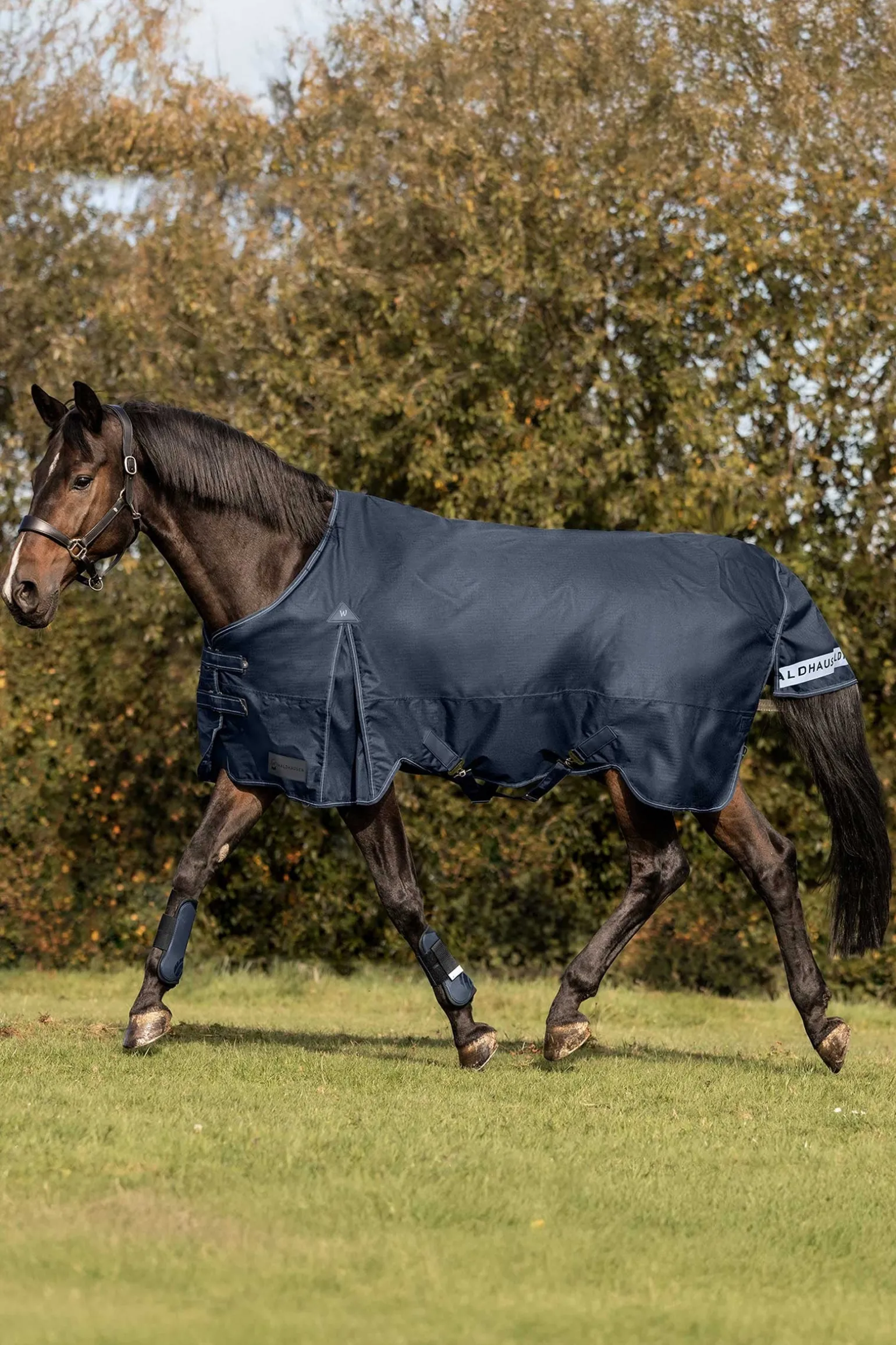 Arctic Weidedecke, 50g