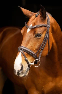 Arika Dresssur Trense