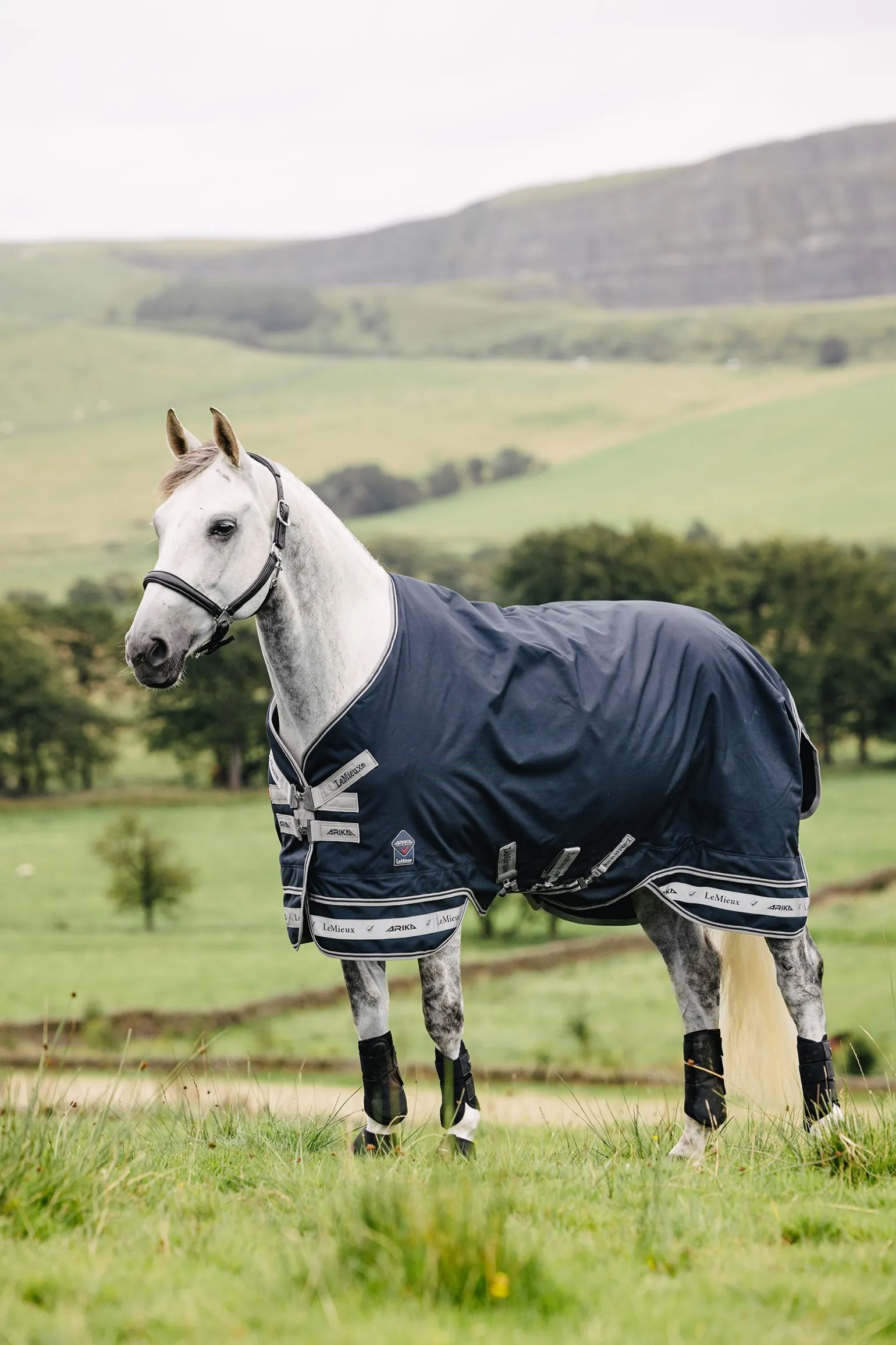 Arika federleichte Decke 0g