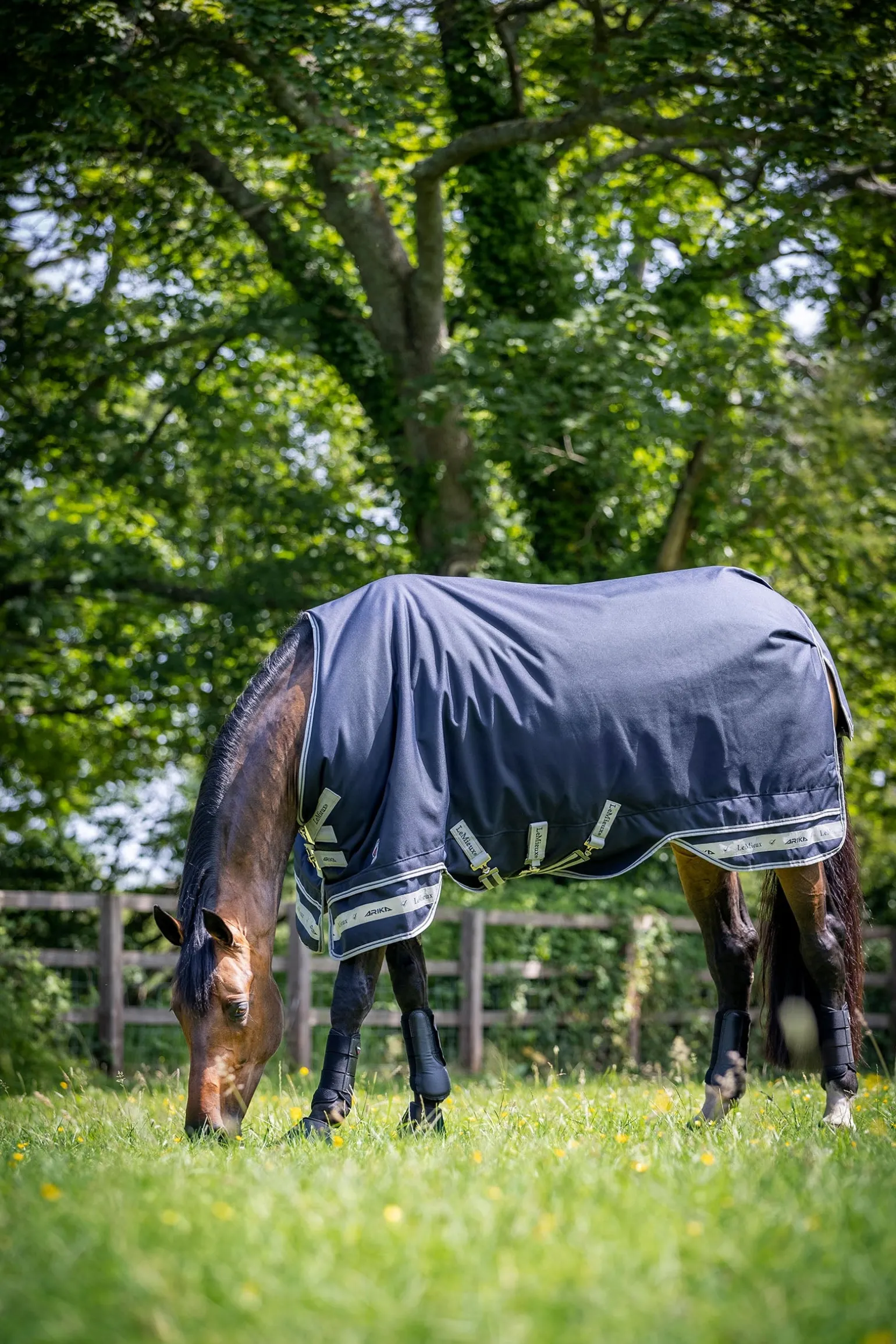 Arika federleichte Decke 0g