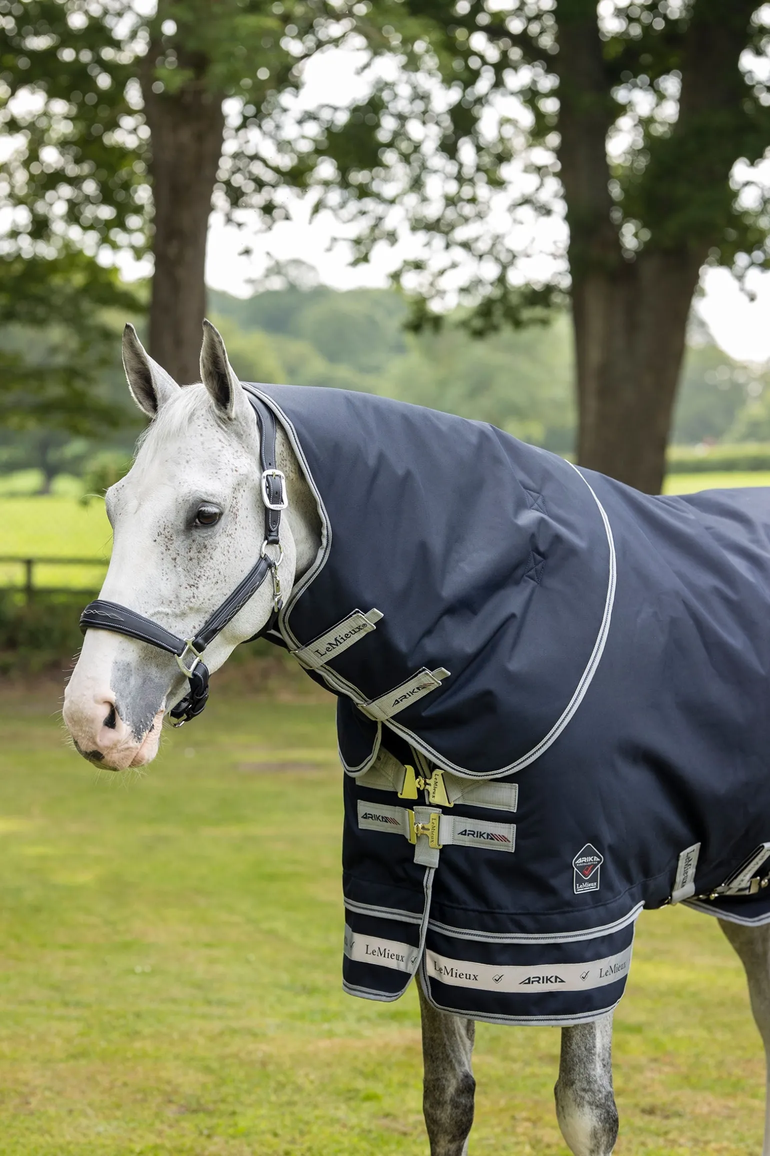 Arika federleichte Decke 0g