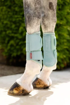 Arika Mesh Dressurgamaschen