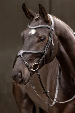 Arika mexikanische Trense