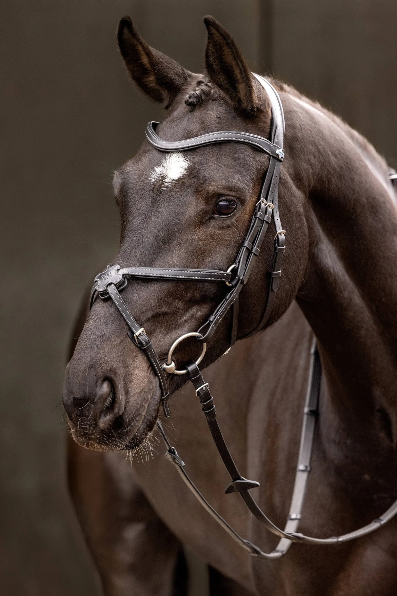 Arika mexikanische Trense