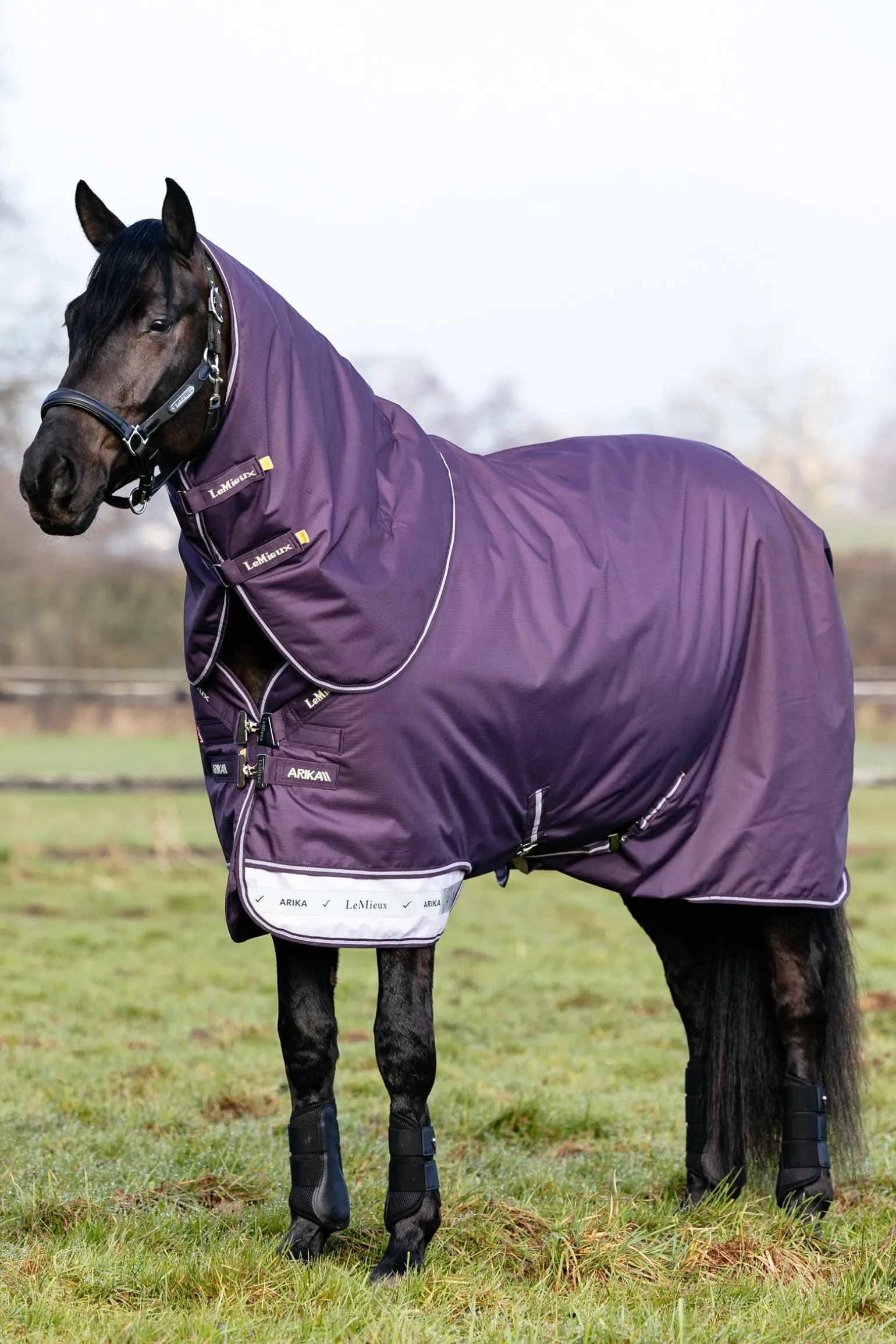 Arika Ripstop Weidedecke mit abnehmbarem Halstseil, 200 g